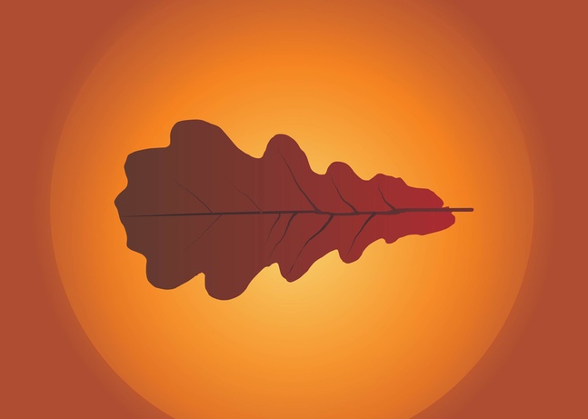 Autumn Leaf Vector