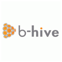 B-Hive Networks