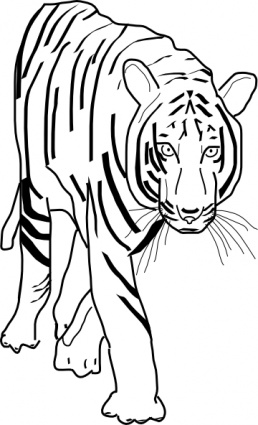 B_w Tiger clip art