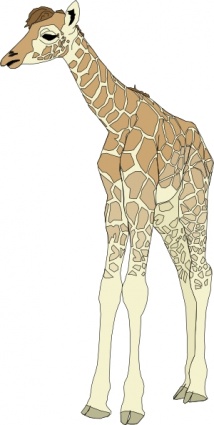 Baby Giraffe clip art