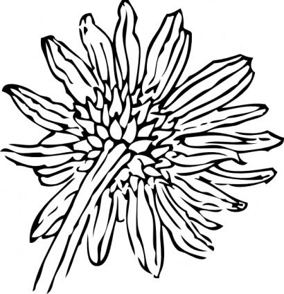 Back Of A Sunflower clip art