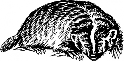 Badger clip art