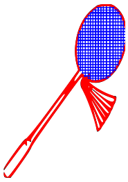 Badminton Racket