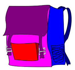 Bag