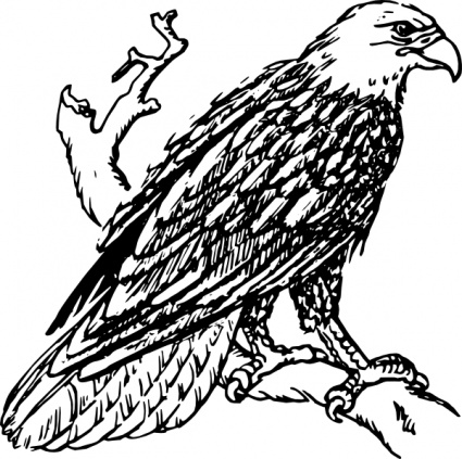 Bald Eagle clip art