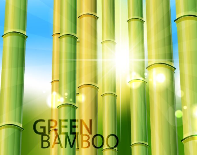 Bamboo Vector