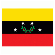 Bandera Estado Tachira