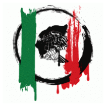 Bandera Mexicana Grunge