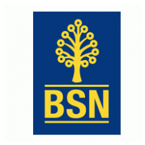 bank simpanan nasional (BSN)