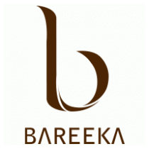 Bareeka Business parks