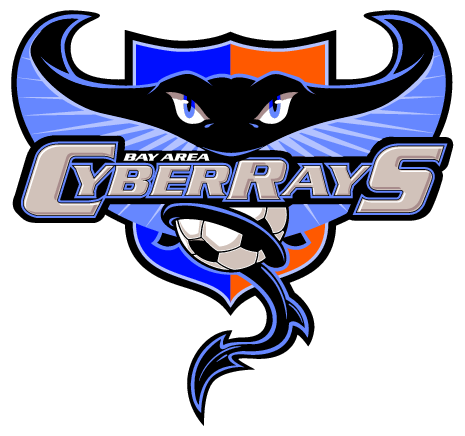 Bay Area Cyberrays