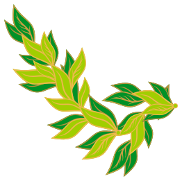 Bay Leaf