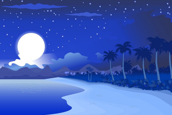 Beach at Night Vector