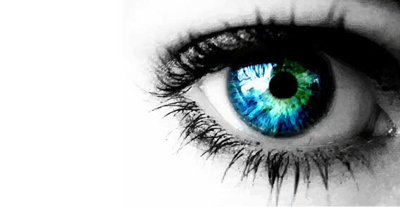 Beautiful colored eye free vector