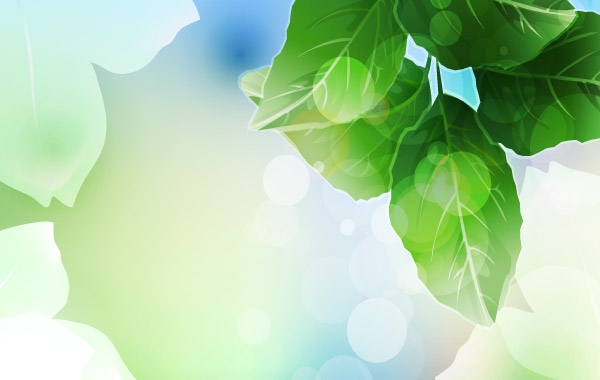 Beautiful Green Leaf Background Vector Illustration