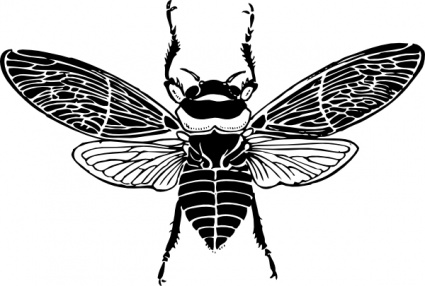 Bee Top View clip art