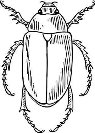 Beetle clip art