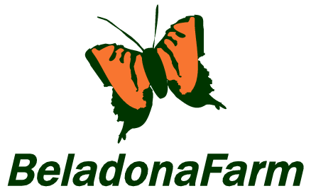 Beladonafarm