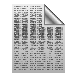 Binary file icon