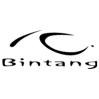 Bintang