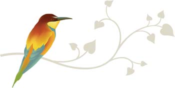 Bird Vector 9