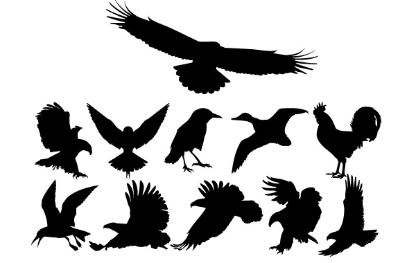 Birds Silhouettes