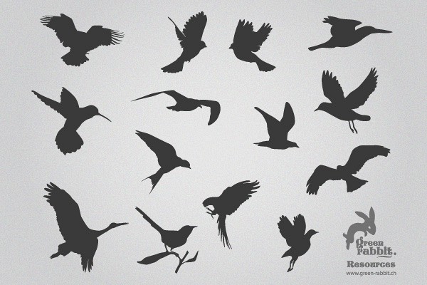 Birds Silhouettes Vector Stock