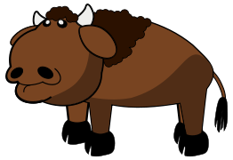 Bison