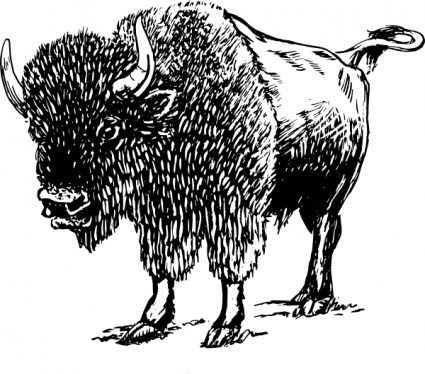 Bison clip art