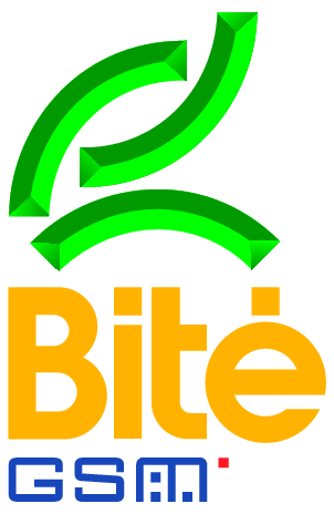 Bite Gsm