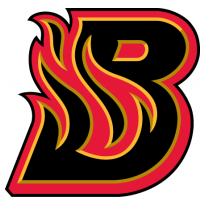 Bloomington Blaze