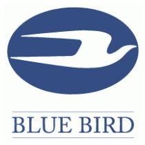 Blue Bird