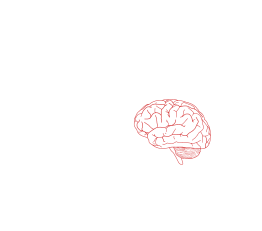 Brain Profile 2