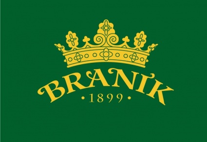 Branik logo