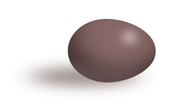 Brown egg