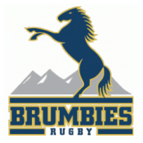 Brumbies