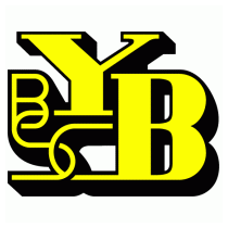 BSC Young Boys