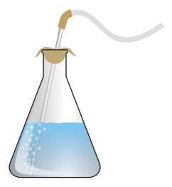 Bubbling erlenmeyer