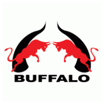 Buffalo