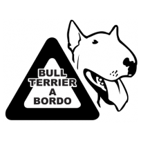 Bull Terrier a Bordo