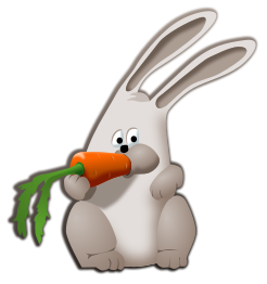 Bunny Eating Carrot