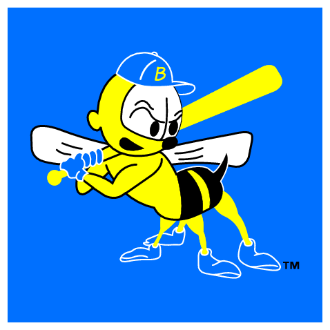 Burlington Bees