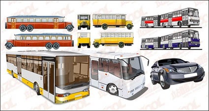 Buses vector