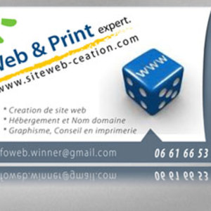 Business Card Template Vectors