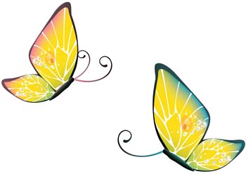 Butterfly Vector 27