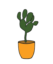 Cactus - Plants 001