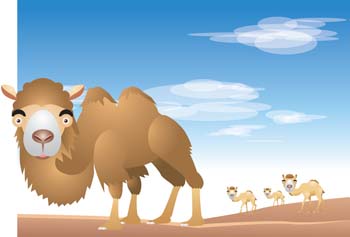 Camel Vector 13