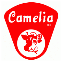 Camelia