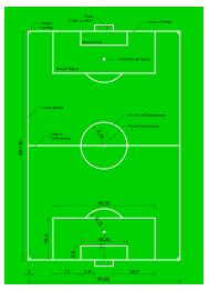 Campo da Calcio Con Misure e Descrizione