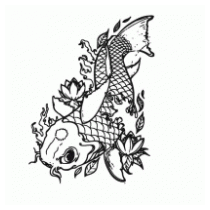 Carpa Koi